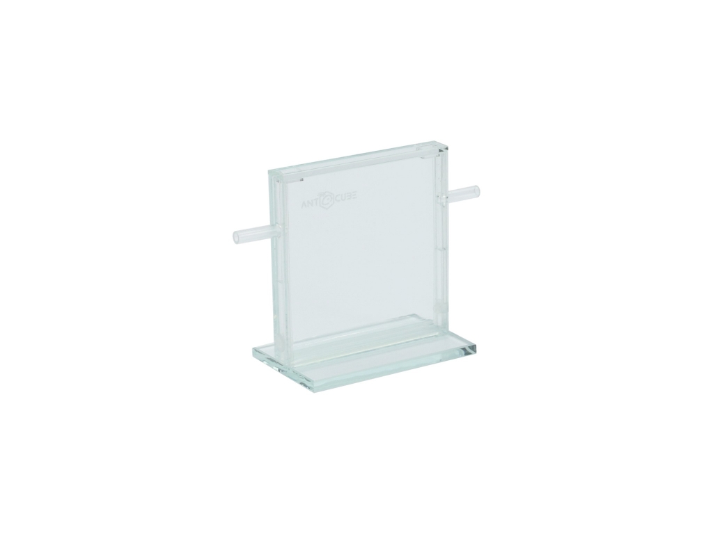 ANTCUBE - Ameisenfarm - S - 10x10 - stehend